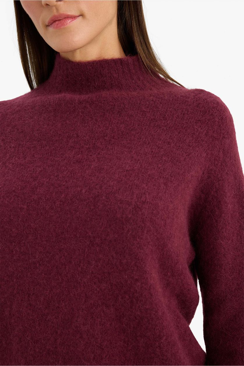 Woman Purple Regular Fit Turtleneck Knitwear Pullover