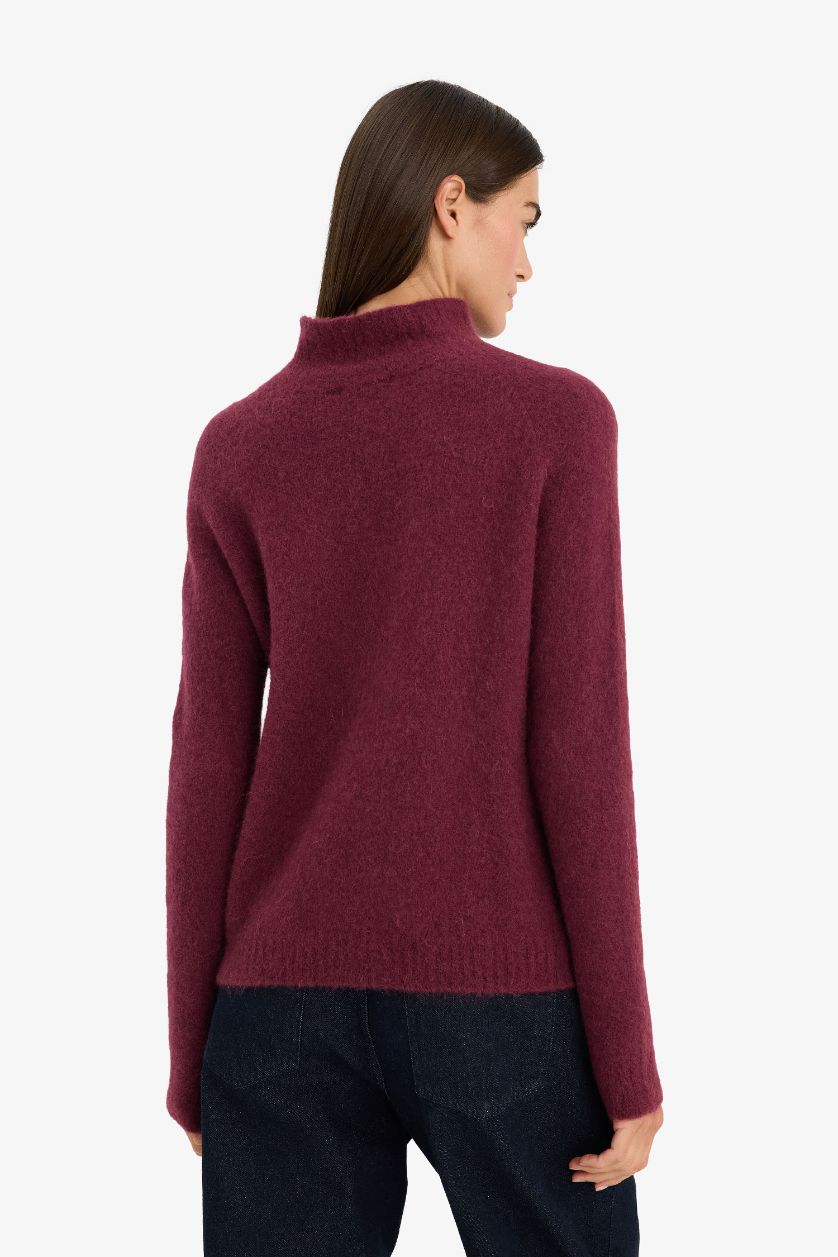 Woman Purple Regular Fit Turtleneck Knitwear Pullover