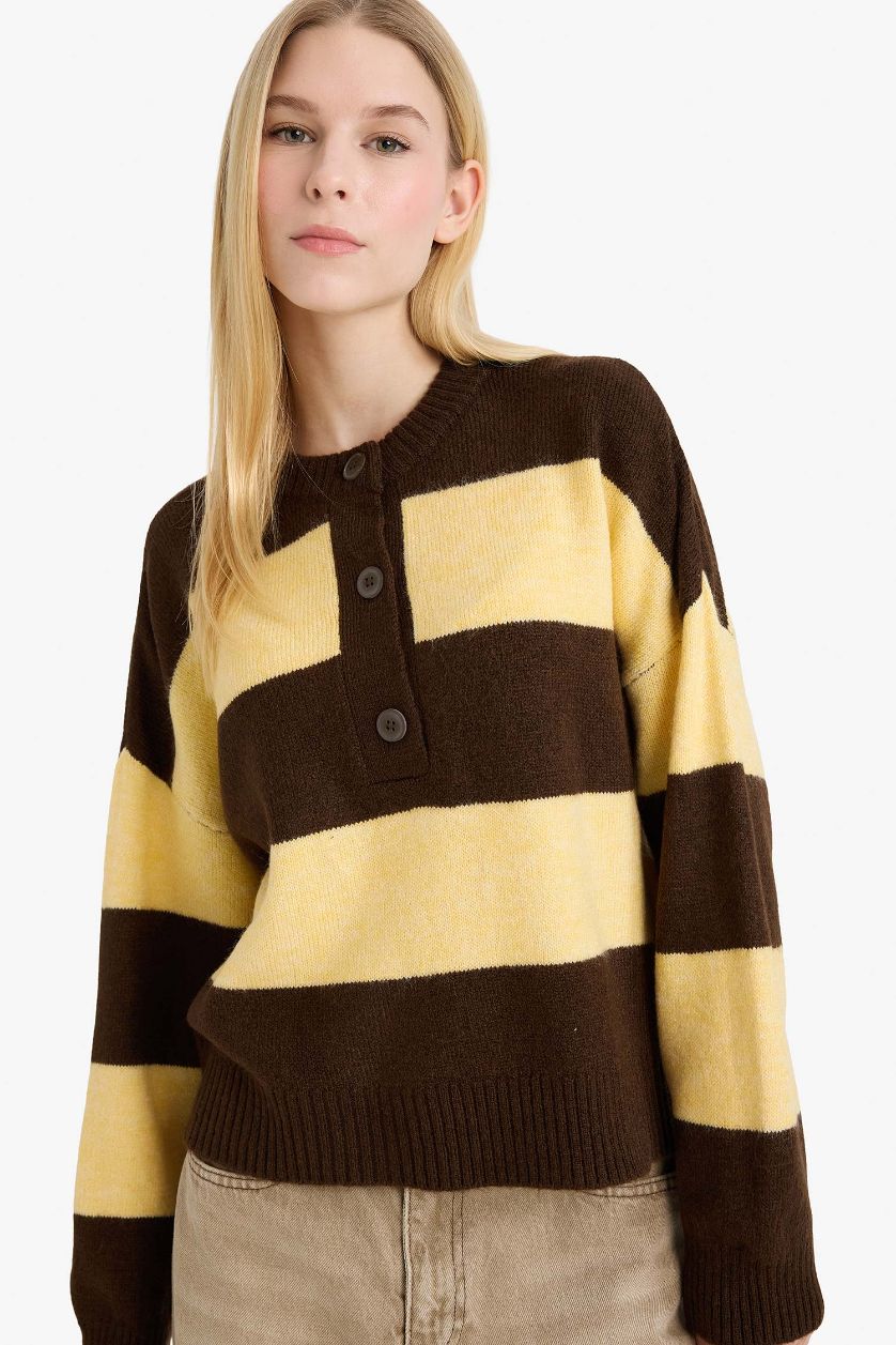 WOMAN Brown Regular Fit Crew Neck Pullover