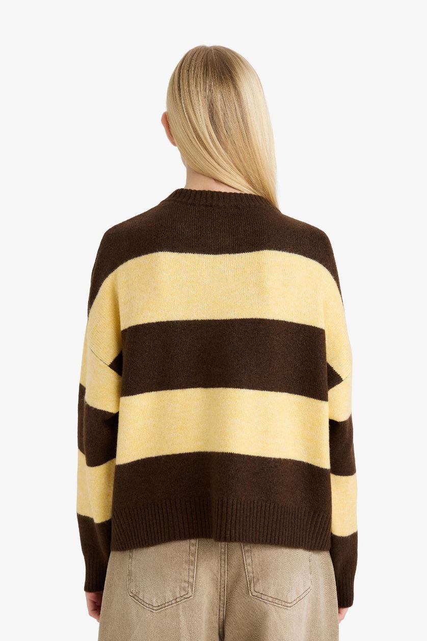 WOMAN Brown Regular Fit Crew Neck Pullover