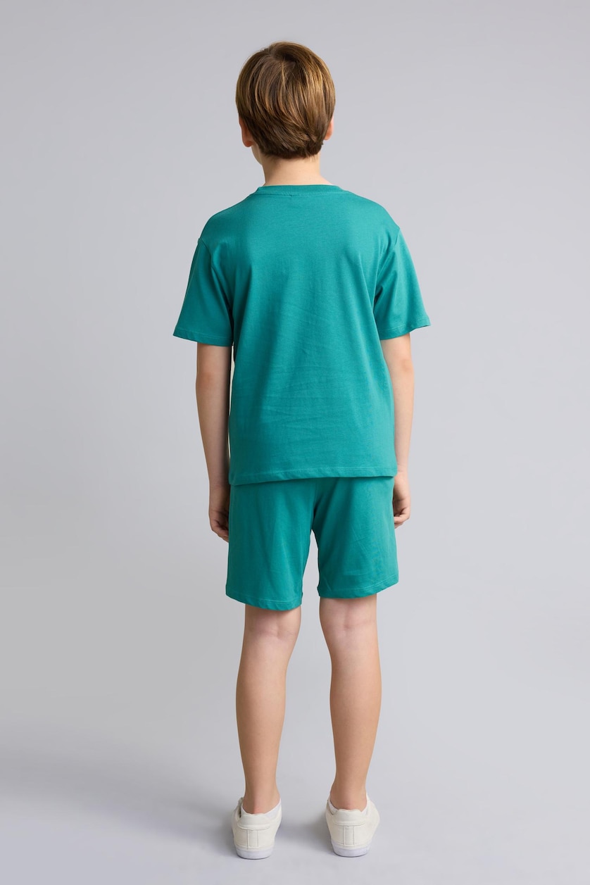 Young Boys - Teen Boys Green Boy Printed T-Shirt Shorts 2 Piece Set