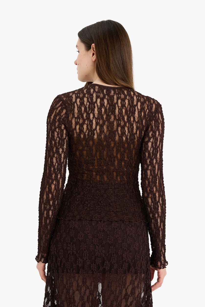 Женщины Коричневый Футболка Fitted с круглым вырезом длинным рукавом и кружевом