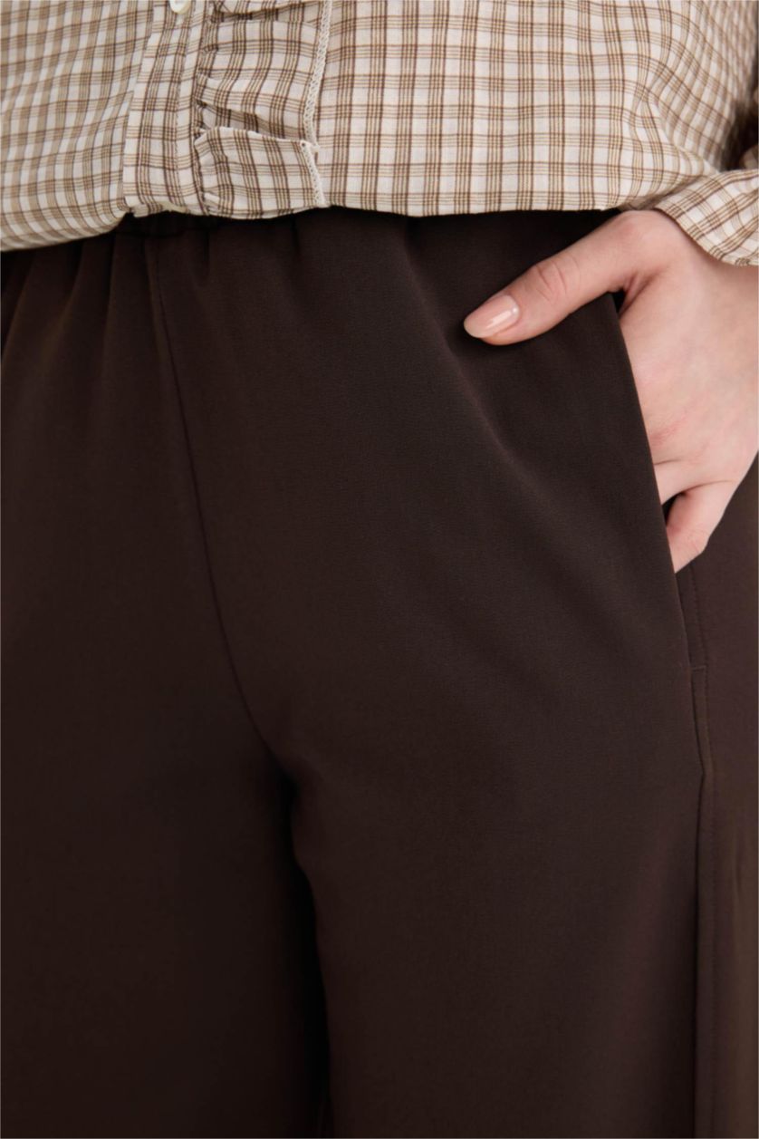Woman Brown Regular Fit Trousers