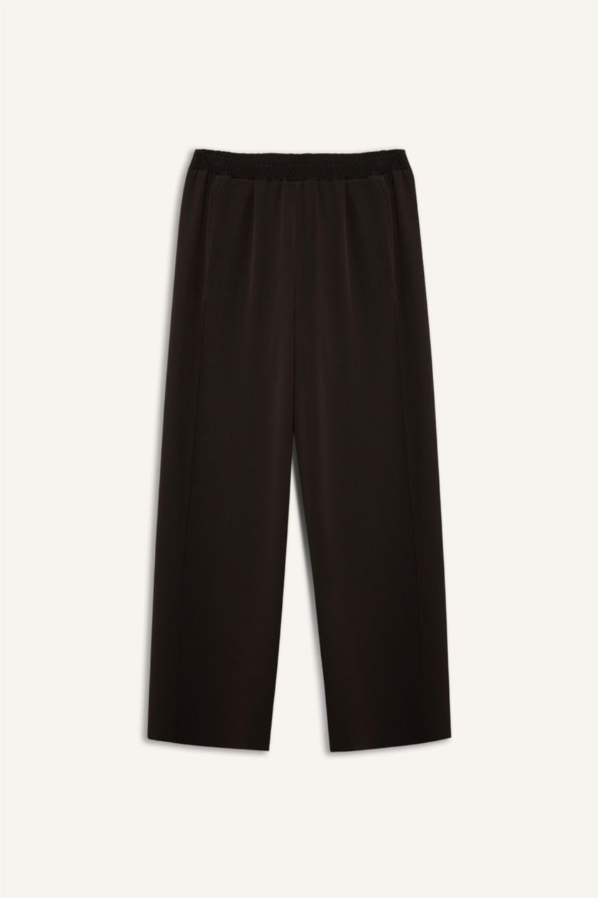 Woman Brown Regular Fit Trousers