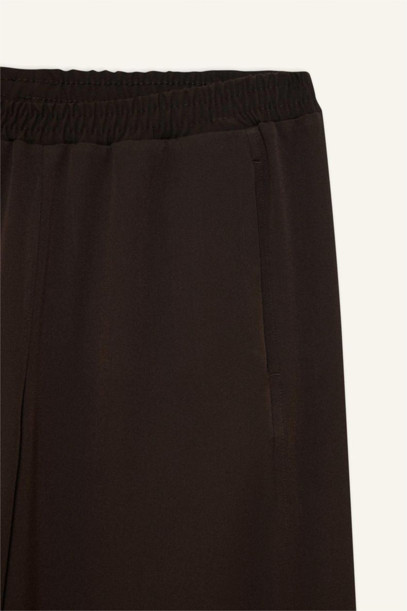 Woman Brown Regular Fit Trousers