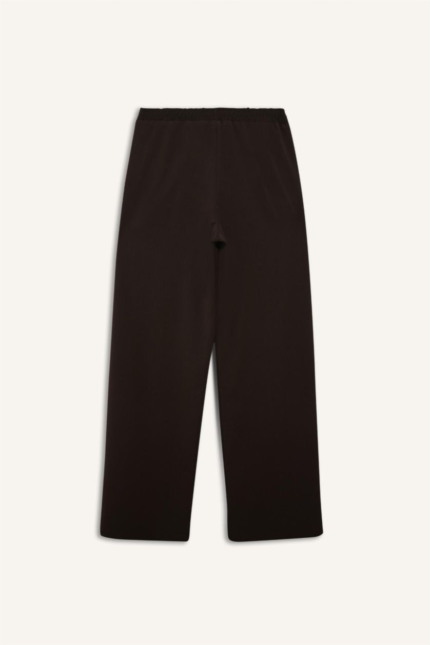 Woman Brown Regular Fit Trousers