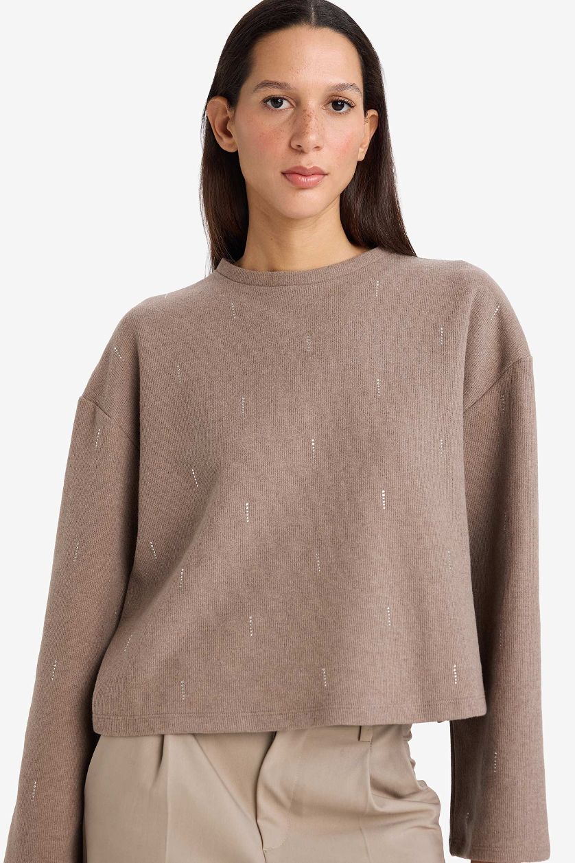 نساء بني فاتح Relax Fit Crew Neck Long Sleeve T-Shirt