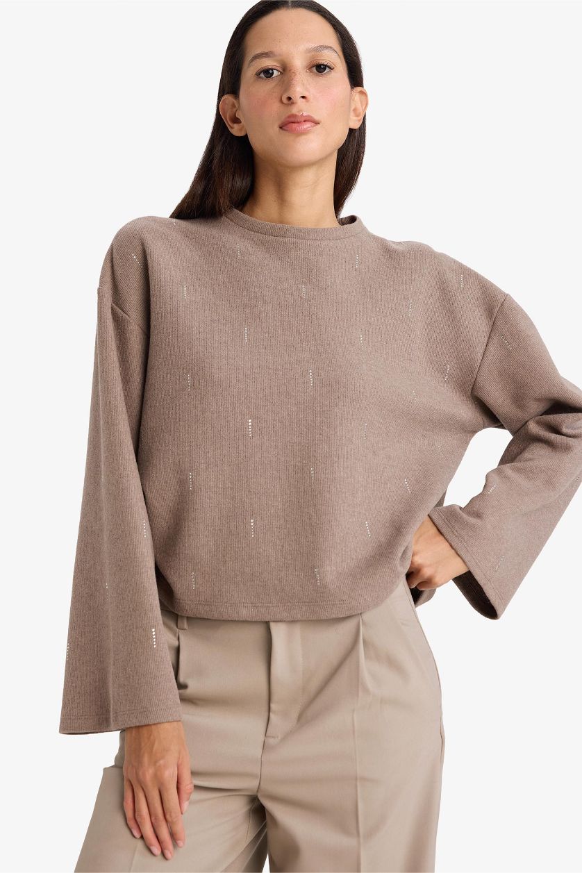 نساء بني فاتح Relax Fit Crew Neck Long Sleeve T-Shirt