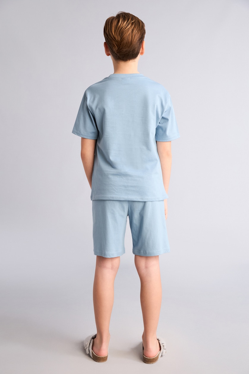 Erkek Çocuk - Genç Erkek Mavi %100 Pamuk Baskılı 2'li Pijama Takımı Erkek Bebek