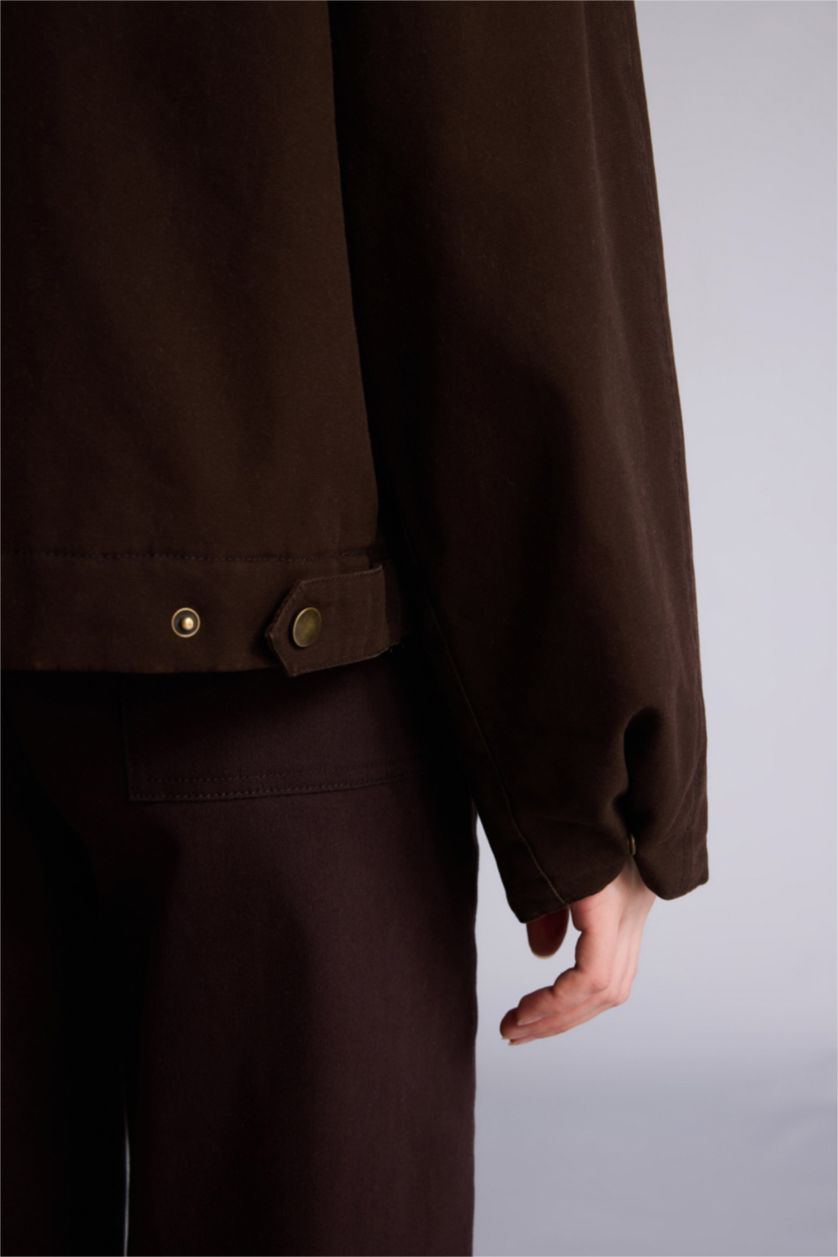 Woman Brown Regular Fit Puffer Jacket