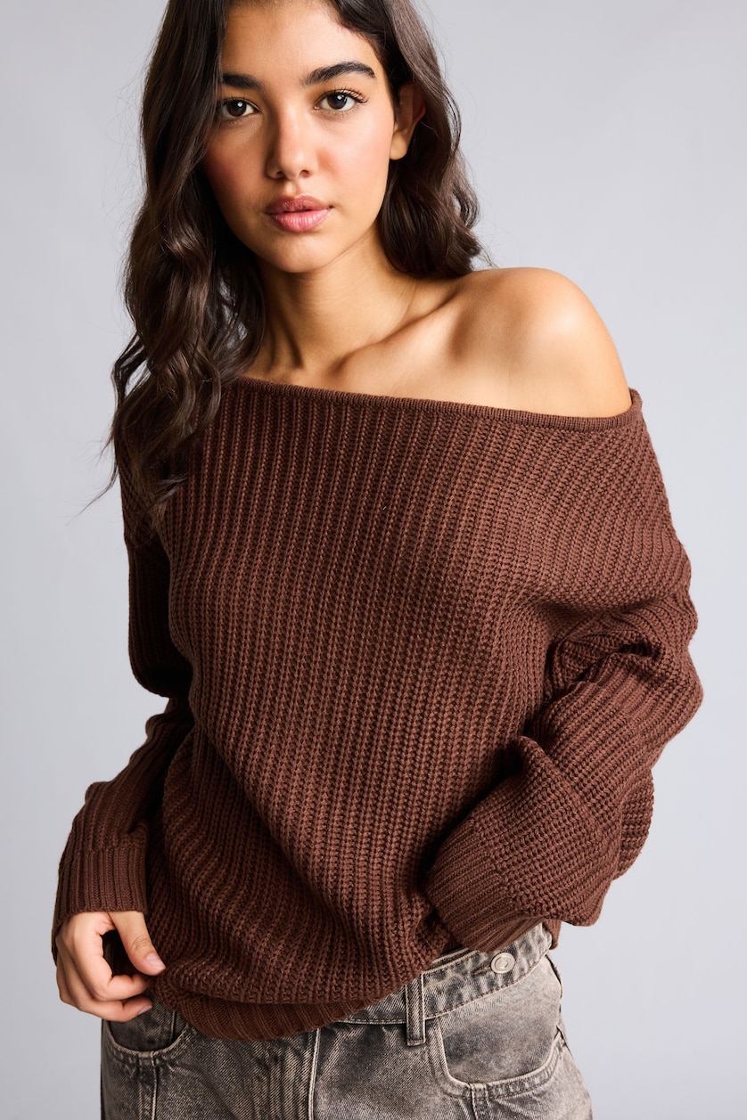 Women Brown Regular Fit Pullover