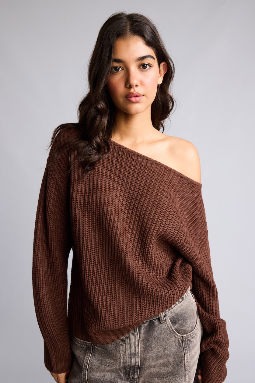 Women Brown Regular Fit Pullover