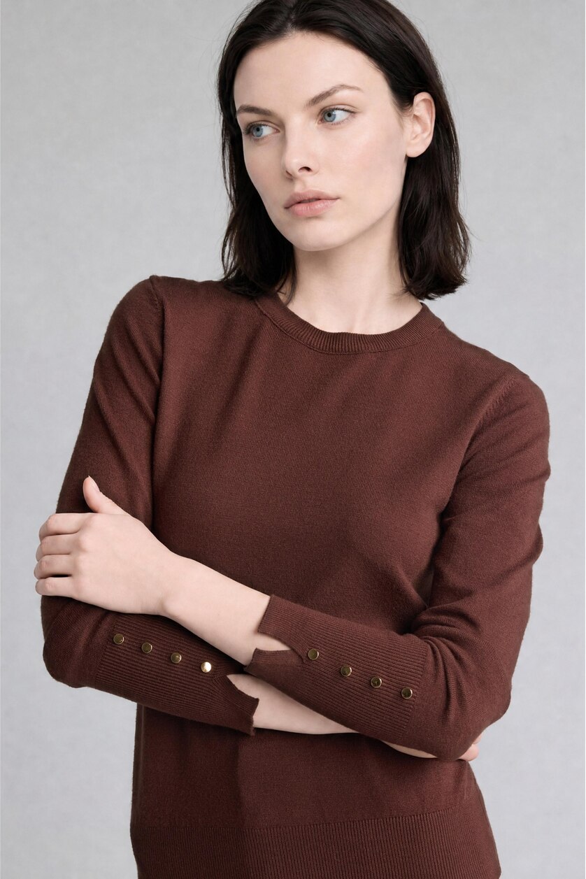 Woman Brown Regular Fit Pullover
