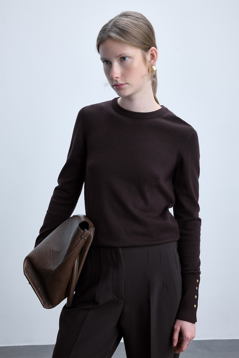 Women Brown Woman Regular Fit Crew Neck Sweater
