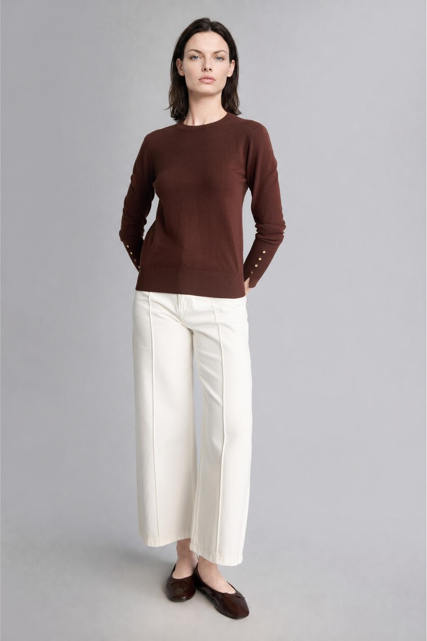 Woman Brown Regular Fit Pullover