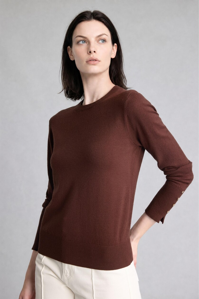 Woman Brown Regular Fit Pullover