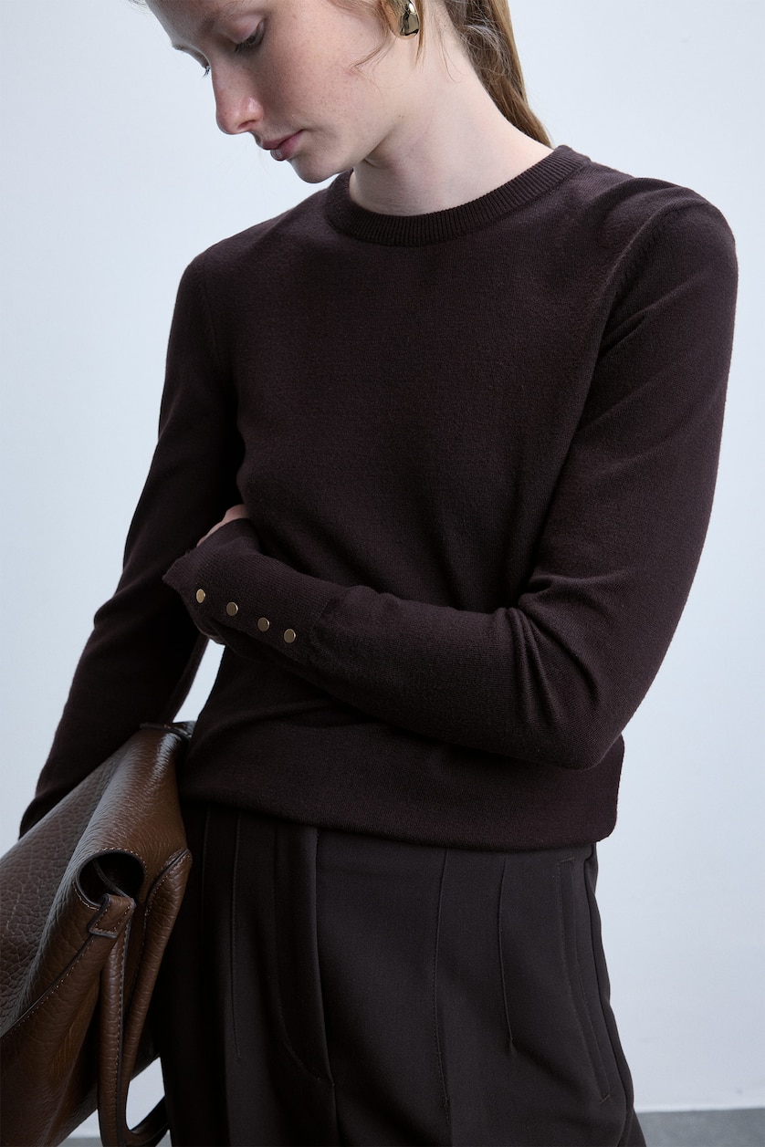 Women Brown Woman Regular Fit Crew Neck Sweater