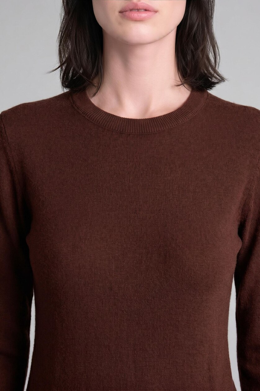 Woman Brown Regular Fit Pullover