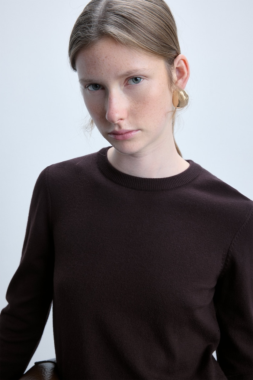 Women Brown Woman Regular Fit Crew Neck Sweater