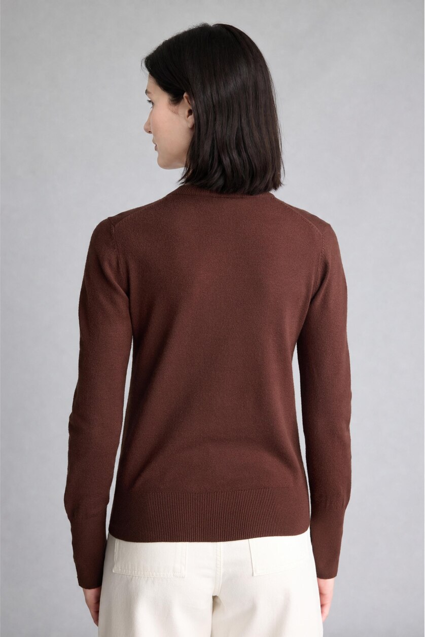 Woman Brown Regular Fit Pullover