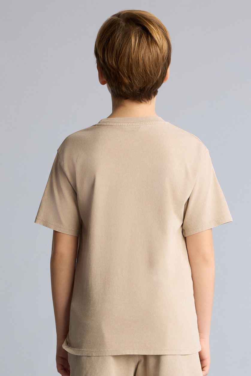 Young Boys - Teen Boys Stone New Regular Fit Short Sleeve T-Shirt