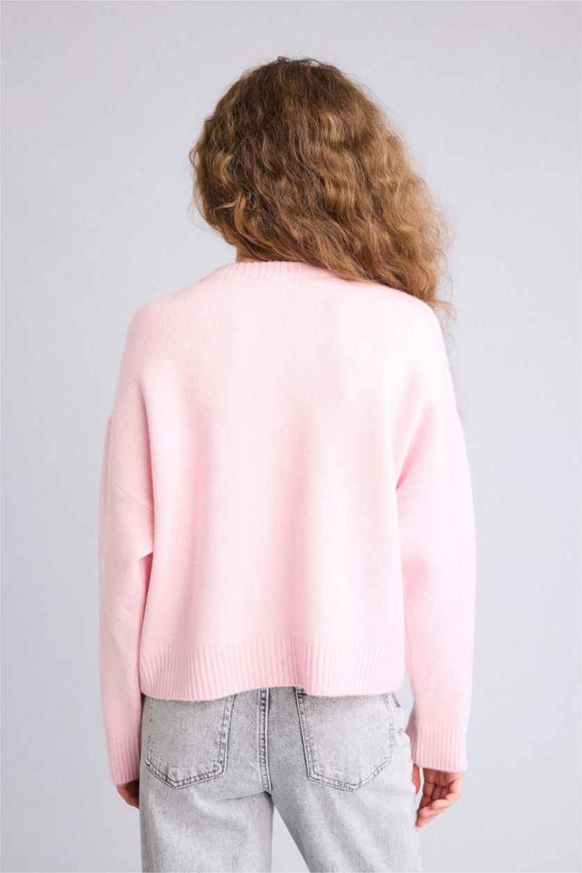 Женщины Светло-розовый Пуловер стандартного кроя с круглым вырезом из трикотажа для женщин