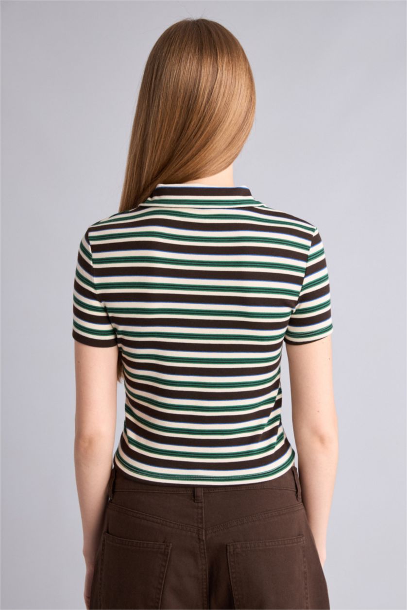 Kadın Yeşil Ribana Kısa Kollu Tişört