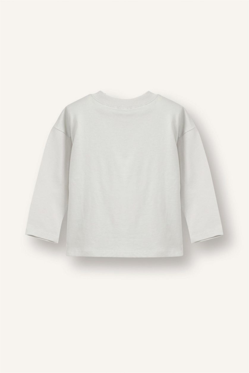 Baby Boys Light Grey Baby Boy Regular Fit Long Sleeve T-Shirt