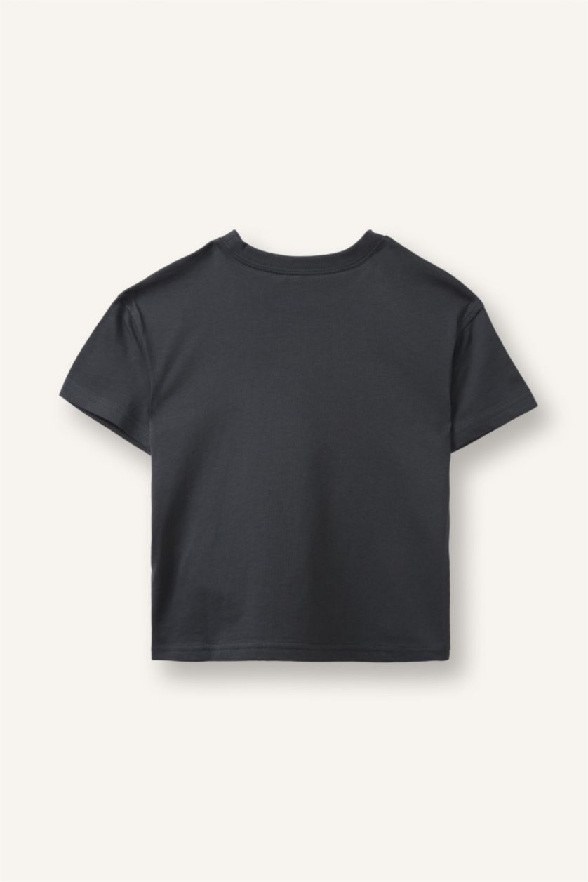Baby Boys Anthracite Regular Fit Printed Short Sleeve T-Shirt