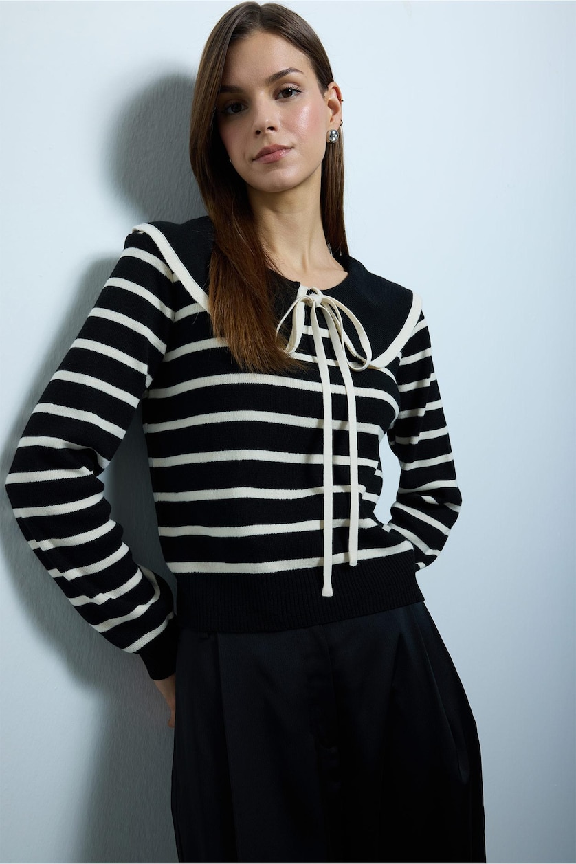Women Black Slim Fit Pullover