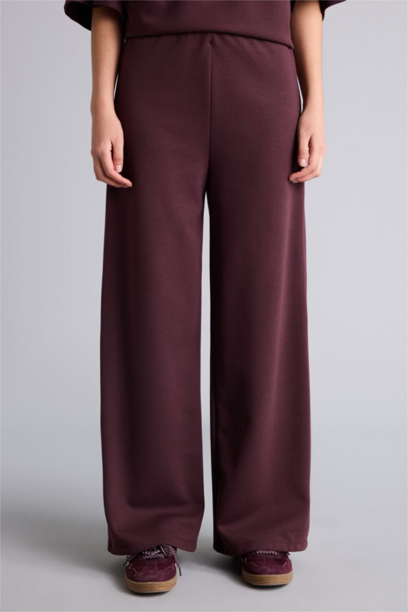 Woman Brown Straight Fit Regular Hem Trousers