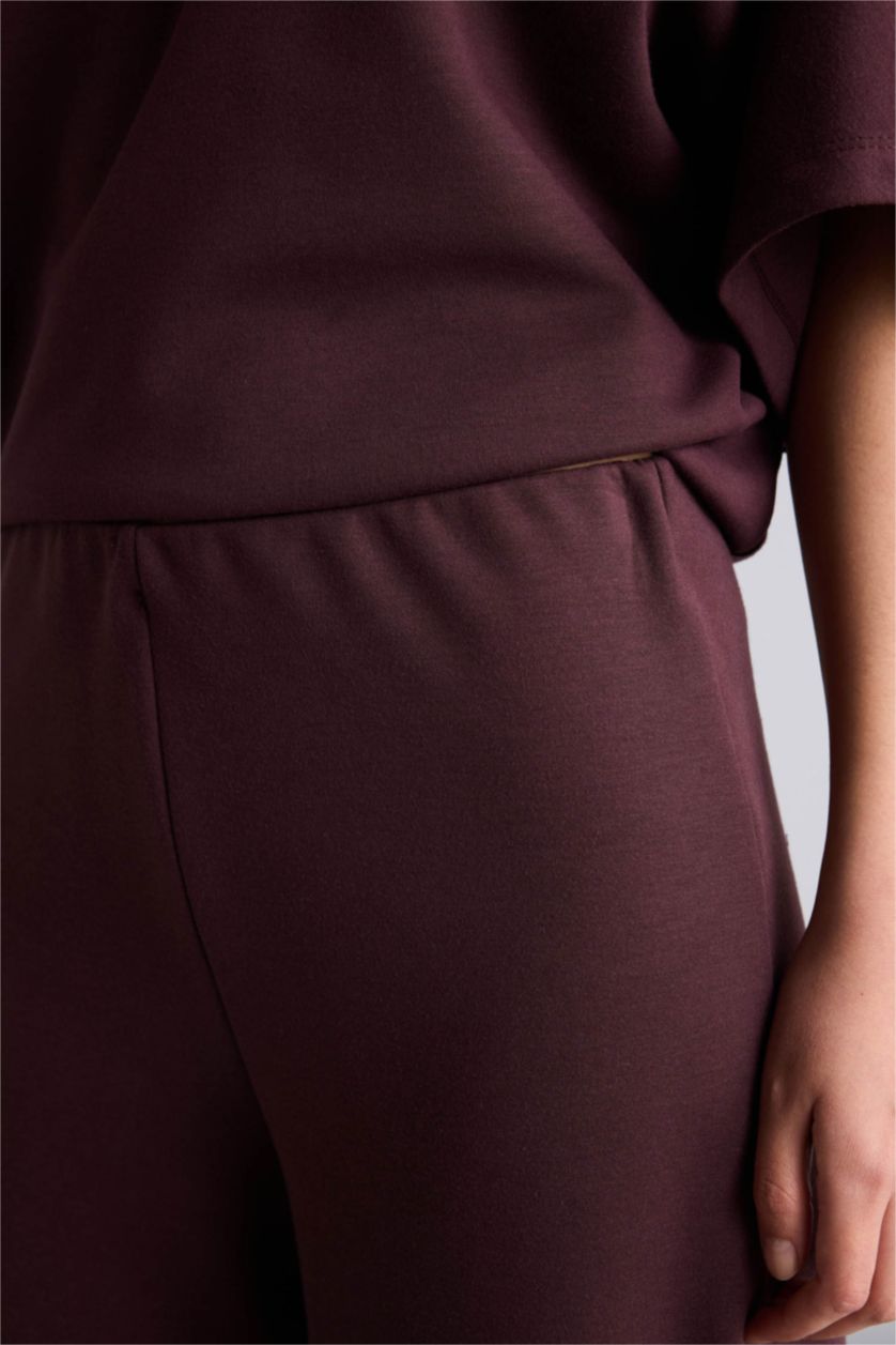 Woman Brown Straight Fit Regular Hem Trousers