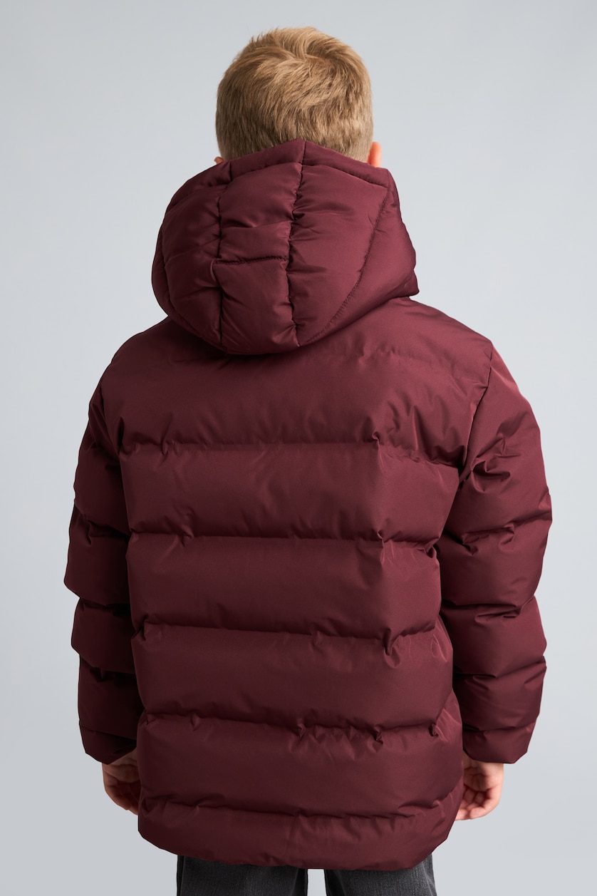 Young Boys - Teen Boys Dark Bordeaux Boy Hooded Puffer Jacket