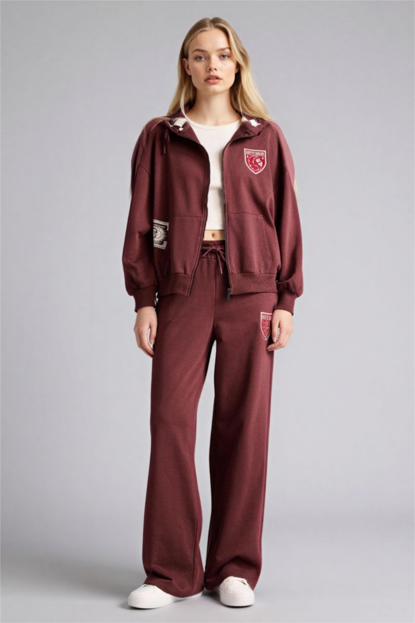 Woman Brown Oversize Fit Hooded Printed Harry Potter Licensed Cardigan