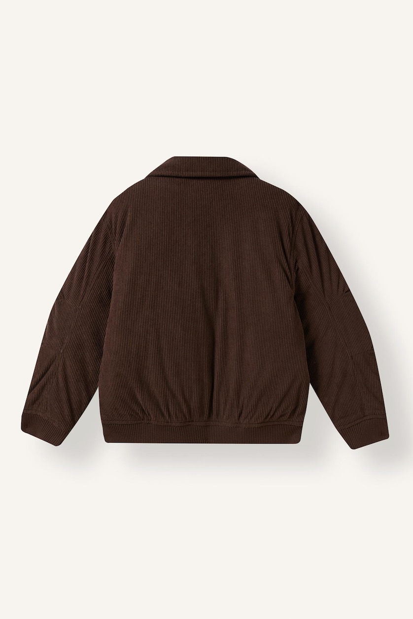 Young Boys - Teen Boys Brown Boy Polo Collar Taffeta Puffer Jacket