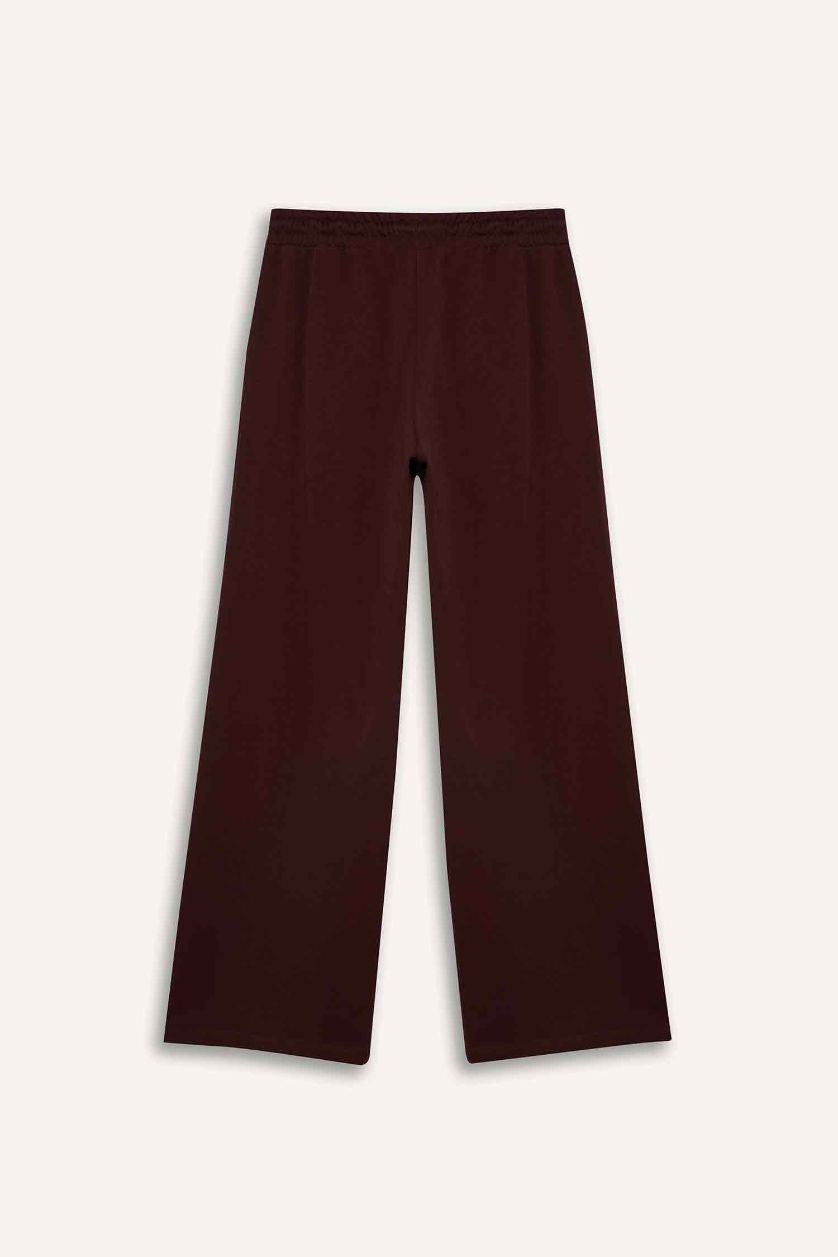 Woman Brown Wide Leg Harry Potter Licensed Slogan Pattern Trousers