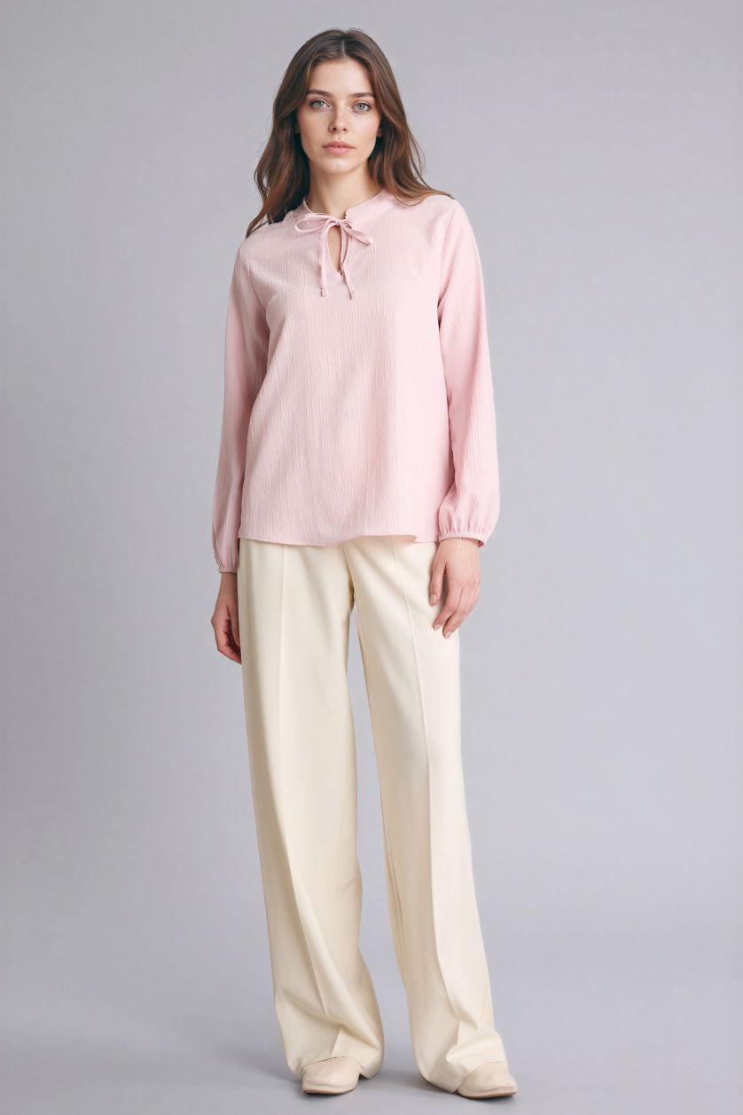 Woman Light Pink Regular Fit Crew Neck Long Sleeve Blouse