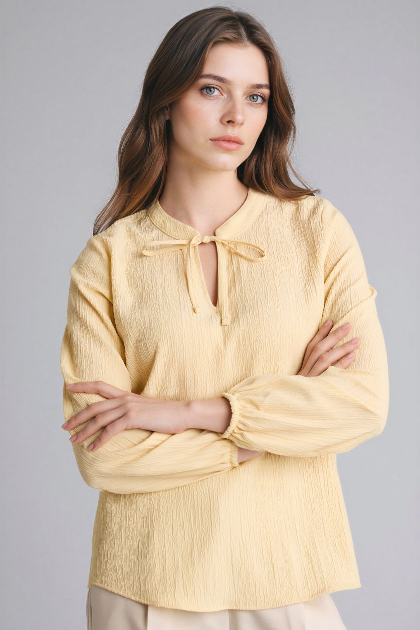 Woman Yellow Regular Fit Crew Neck Long Sleeve Blouse