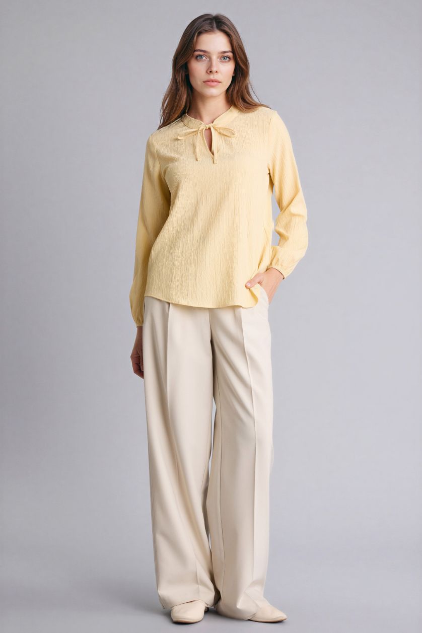 Woman Yellow Regular Fit Crew Neck Long Sleeve Blouse