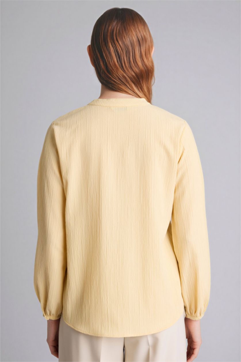 Woman Yellow Regular Fit Crew Neck Long Sleeve Blouse