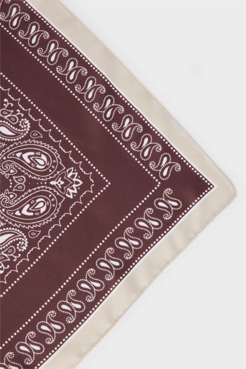 Woman Dark Brown Woman Paisley Patterned Shawl