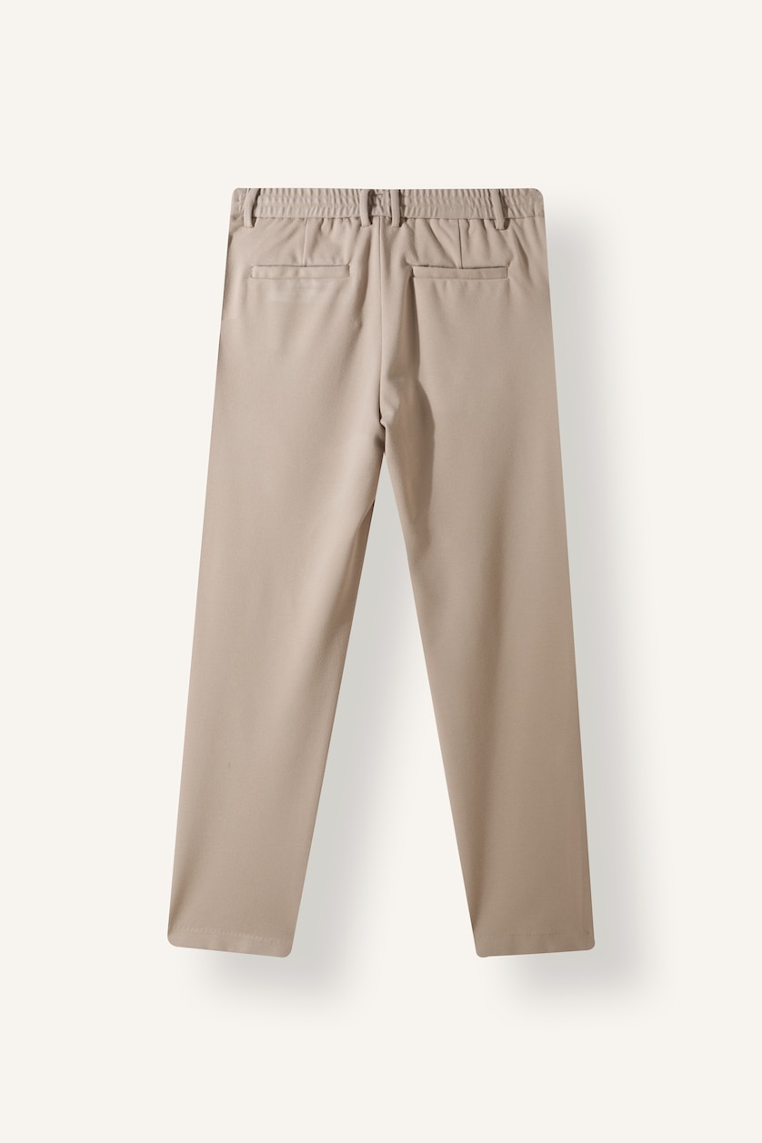 Мужчины Серый Брюки Regular Fit