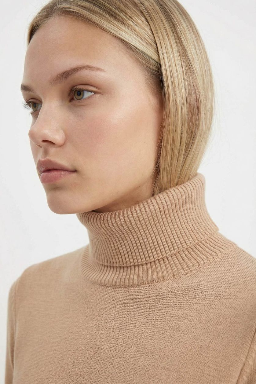 Woman Beige Regular Fit Turtleneck Basic Pullover