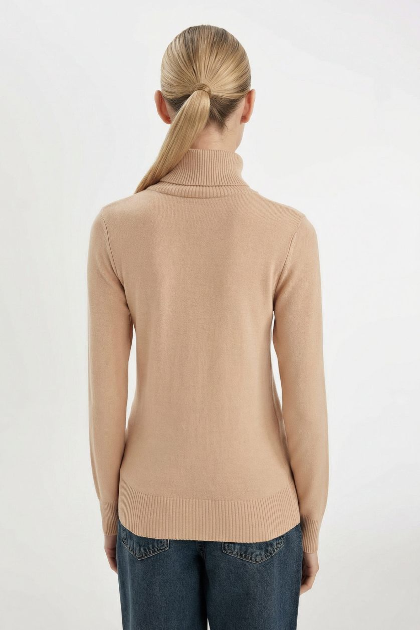 Woman Beige Regular Fit Turtleneck Basic Pullover