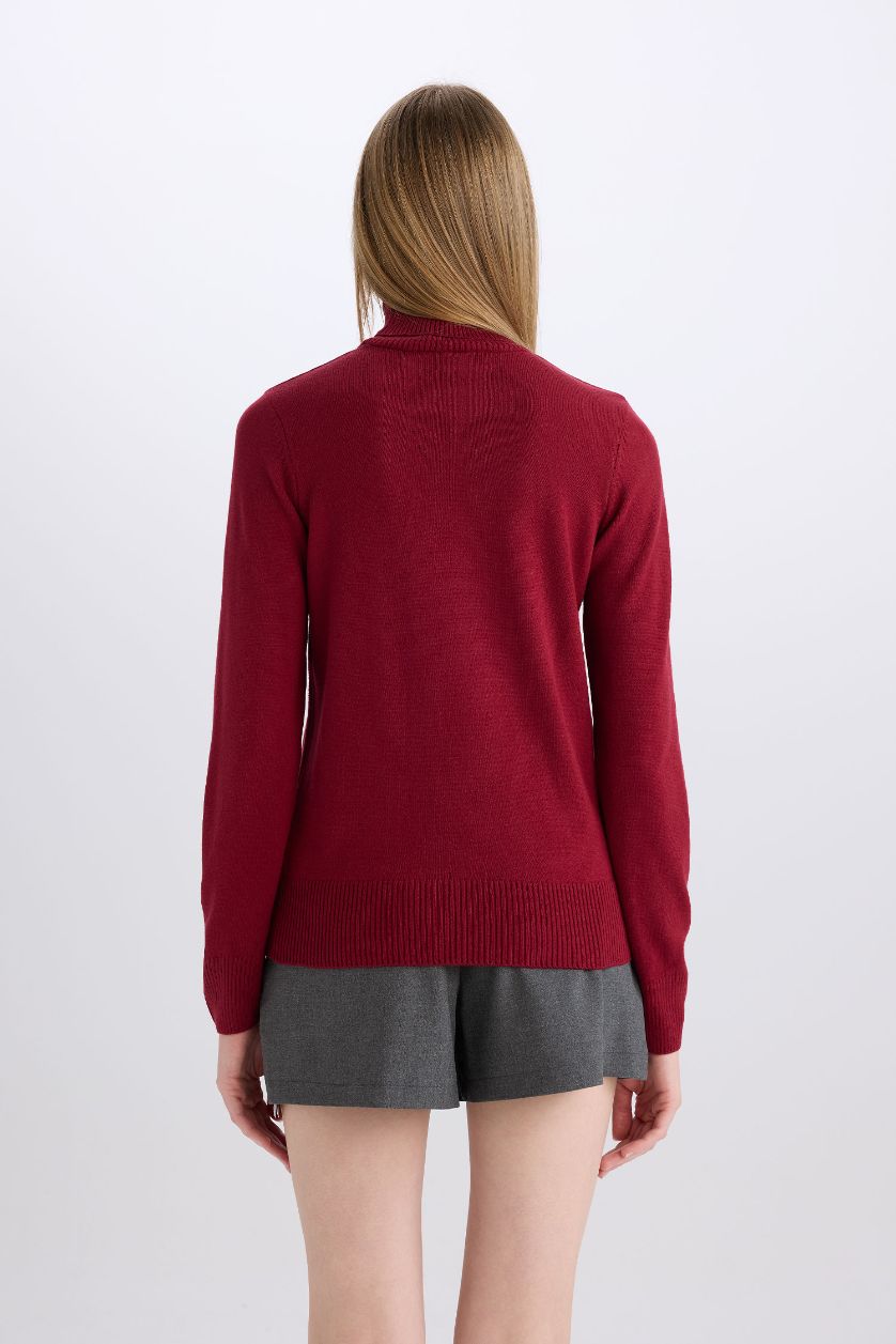 Kadın Bordo Regular Fit Yumuşak Dokulu Balıkçı Yaka Basic Düz Triko Kazak