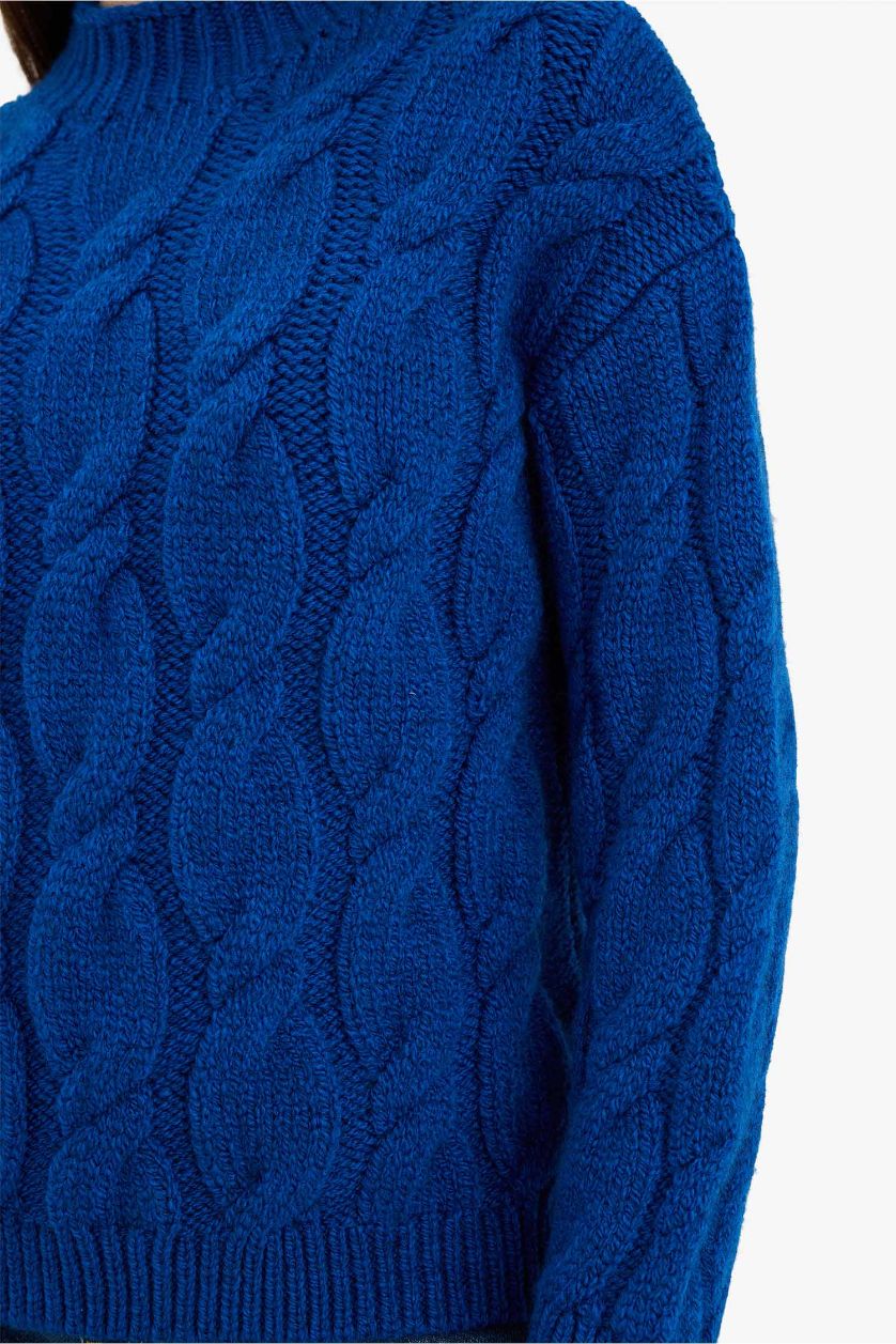 Woman Sax Regular Fit Crew Neck Pullover