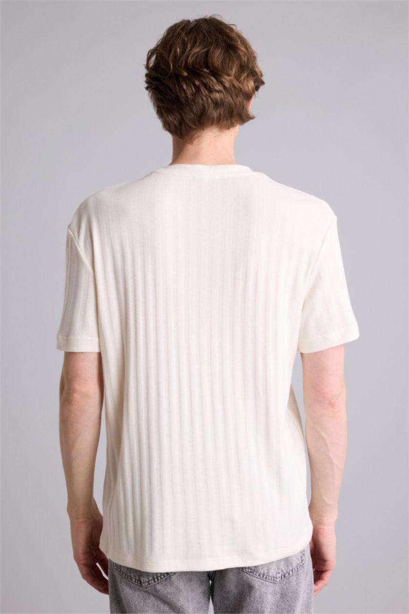 Erkek Ekru Regular Fıt Kısa Kollu Tişört