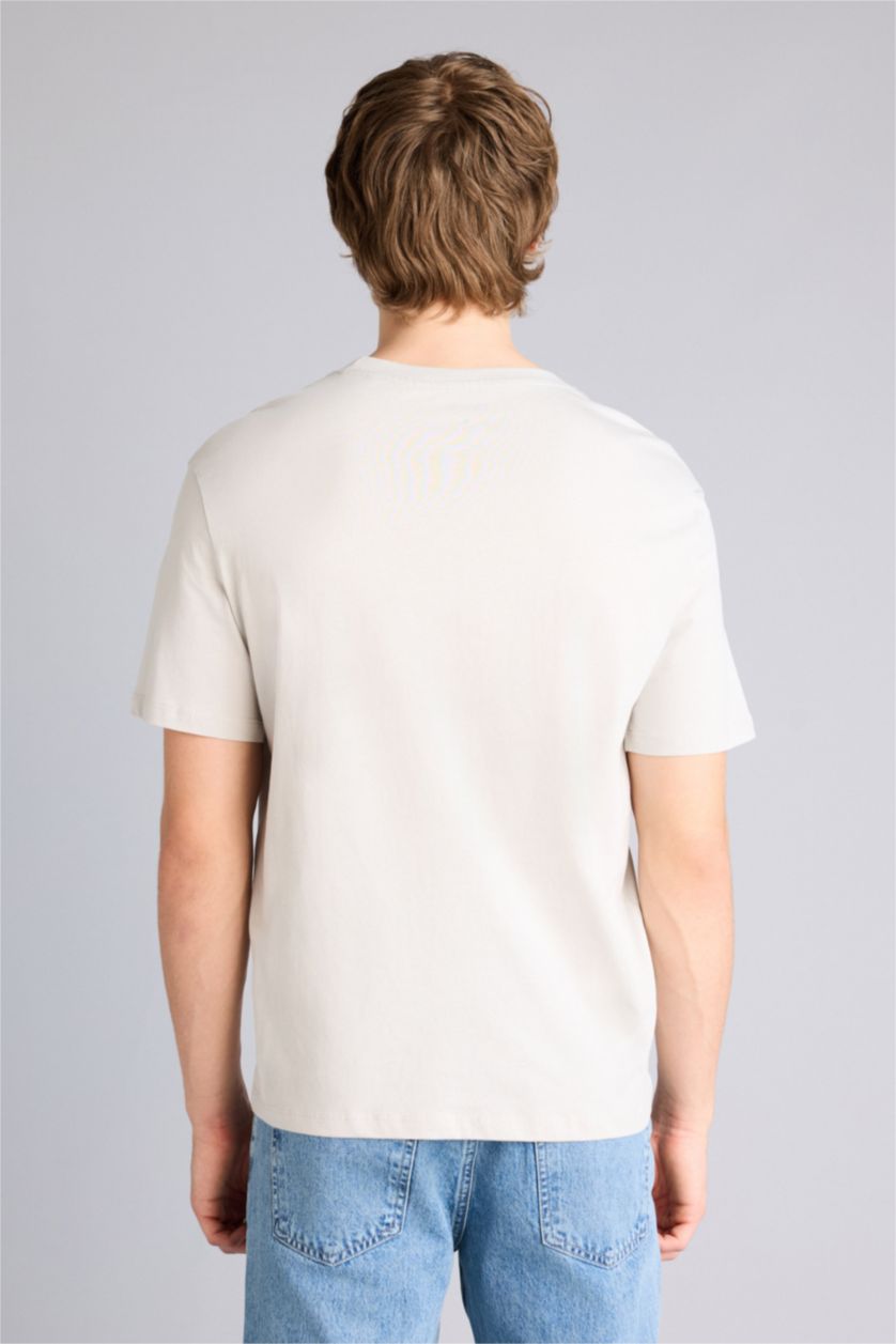 Erkek Taş Regular Fıt Baskılı Kısa Kollu Tişört