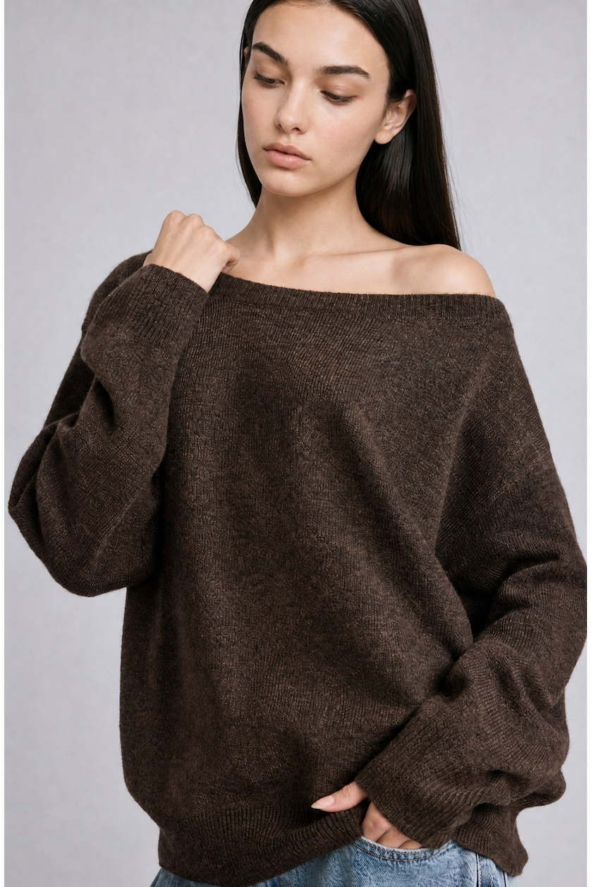 Women Brown Regular Fit Pullover