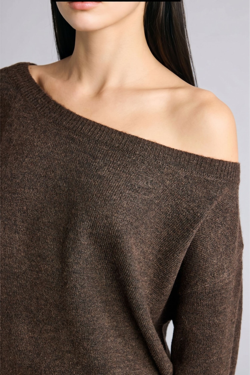 Women Brown Regular Fit Pullover